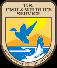 Fish & Wildlife